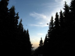 IMG_5631