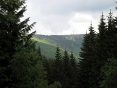 IMG_5832