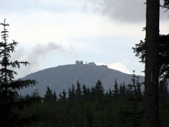 IMG_5882