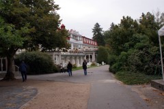 DSC03766