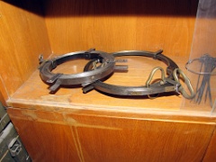 IMG15491