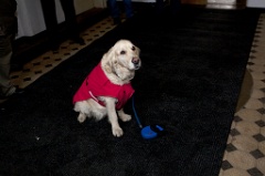 IMG27452