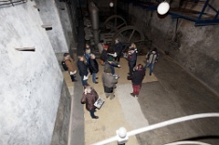 IMG27631